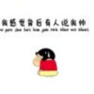 叶子66
